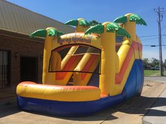 14 ft Roaring Rainforest Waterslide 14 ft Roaring Rainforest Waterslide