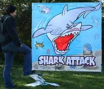 Shark Attack Shark Attack